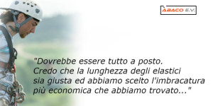 Linea Vita Economica